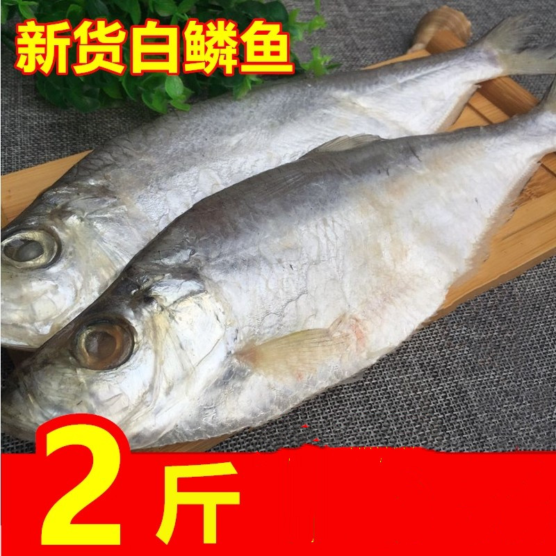 白鳞鱼咸鱼1000g咸鱼干咸香鱼清蒸鱼海鱼白磷鱼5成干