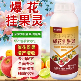 肥公肥婆爆花挂果灵多开花开雌花增加座果率提质增产补充营养水溶