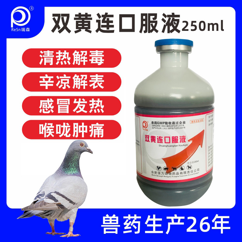 双黄连口服液鸽用禽用鸽子药清热解毒鹦鹉中药感冒风热感冒鸽兽药