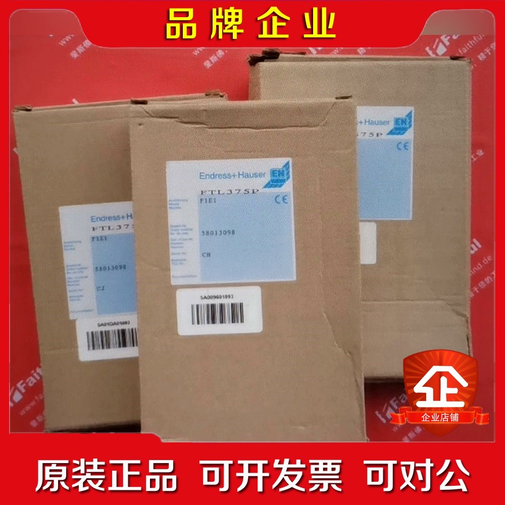 E+H FTL375P-F1E1 恩德斯豪斯液位检测 n 议价