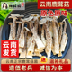 鹿茸菇干货500g菌菇煲汤食材 无熏硫食用野蘑菇搭配羊肚菌 虫草花