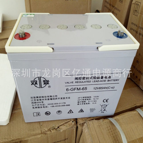 清远市免维护铅酸蓄电池6-GFM-24双登蓄电池12V-24AH储能型