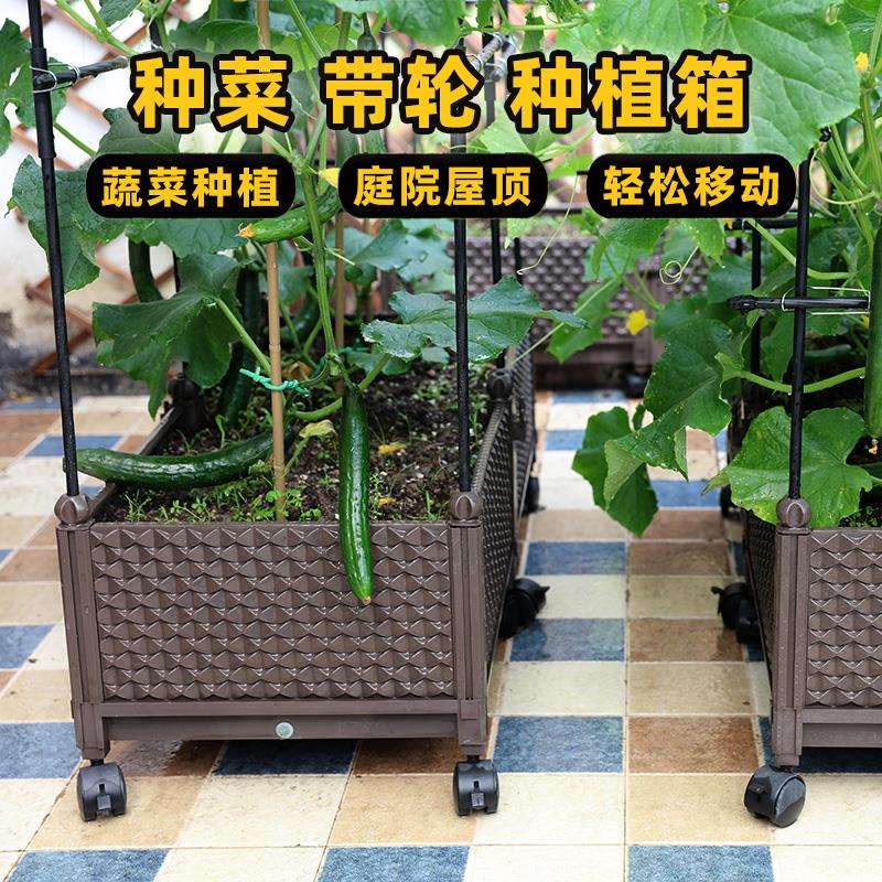 种植箱阳台种菜爬藤架蔬菜葡萄架花盆架子庭院藤架黄瓜杆支架