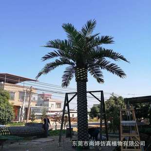 仿真海藻树加纳利海藻树玻璃钢大型人造假树室外造景直销