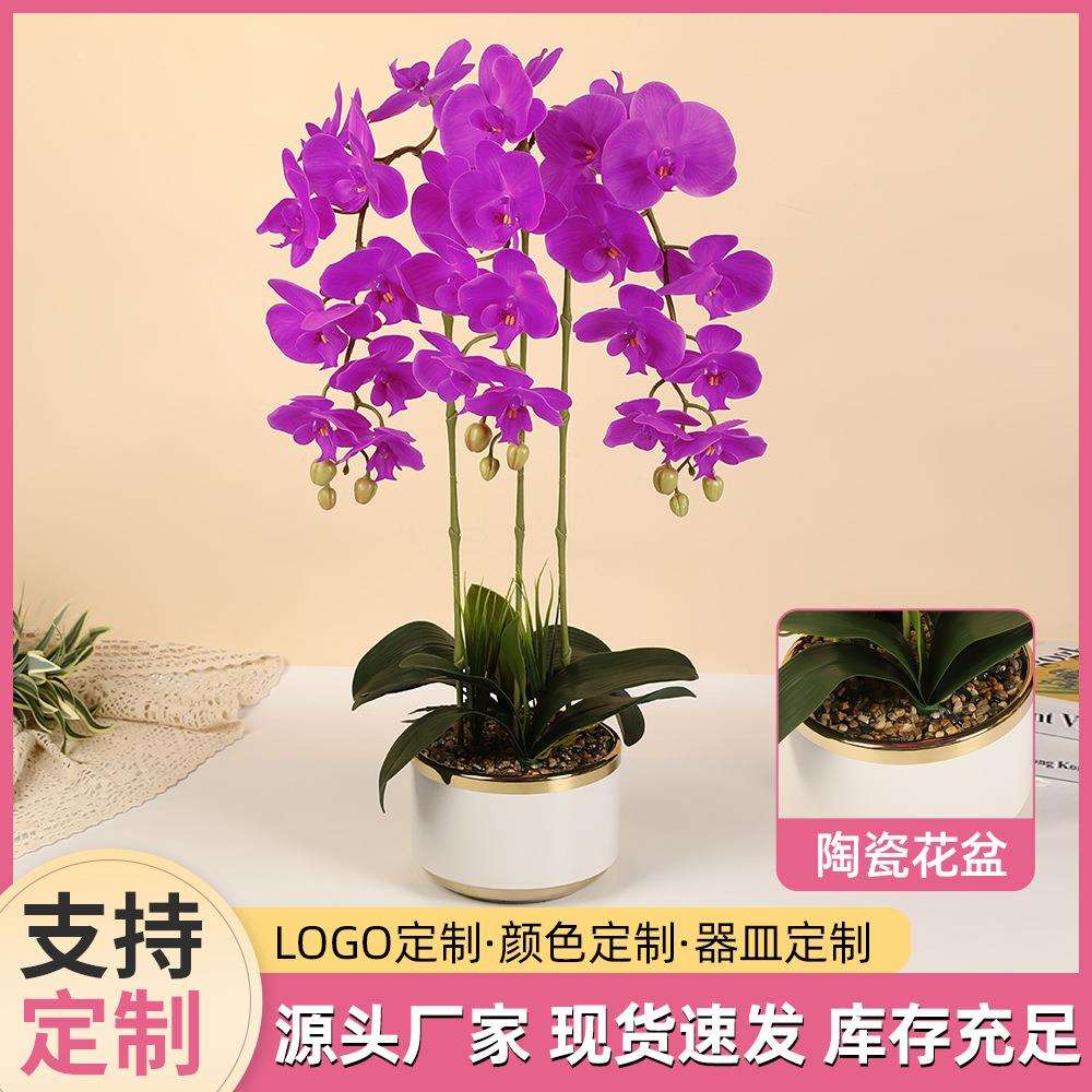 7朵蝴蝶兰陶瓷盆栽手感胶片仿真花摆件客厅卧室装饰园艺盆景