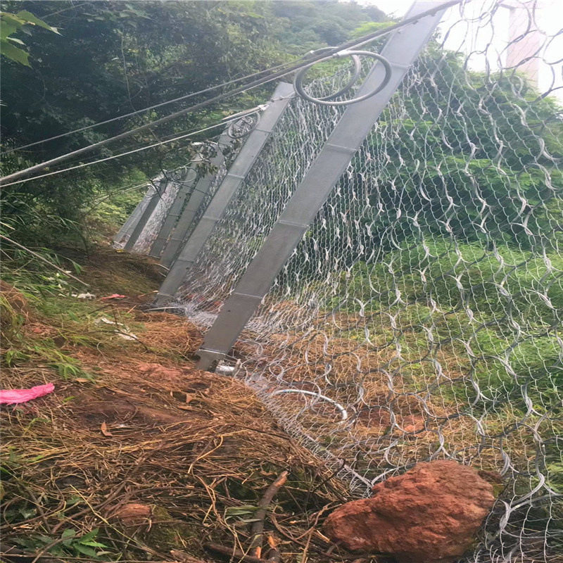 成都RXI-100型被动防护网柔性山体落石拦截防护网边坡防护安全网