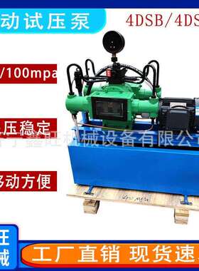 鑫旺4DSY-25公斤大流量地暖管道水管测压机打压电动试压泵便携式