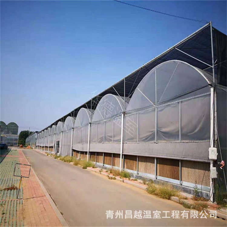 连体光照均匀薄膜温室拱棚双拱双模圆拱形大棚葡萄种植采摘园林