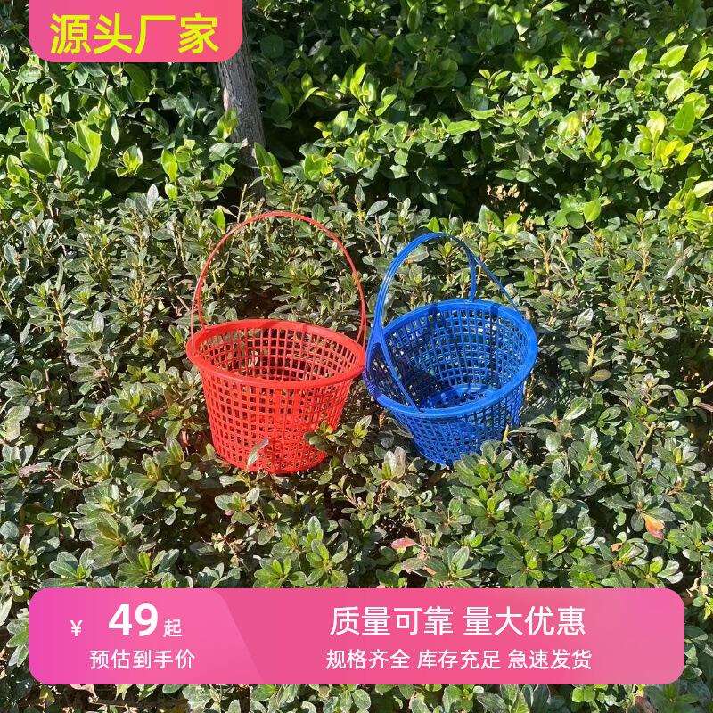 桑葚直销10一次性1草莓斤筐樱桃手提塑料杨梅水果篮篮子采摘