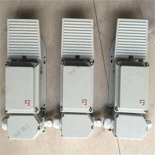 批售防爆脚踏开关触点自锁防爆脚踏开关dLXK-DYT-D防爆脚踏开关