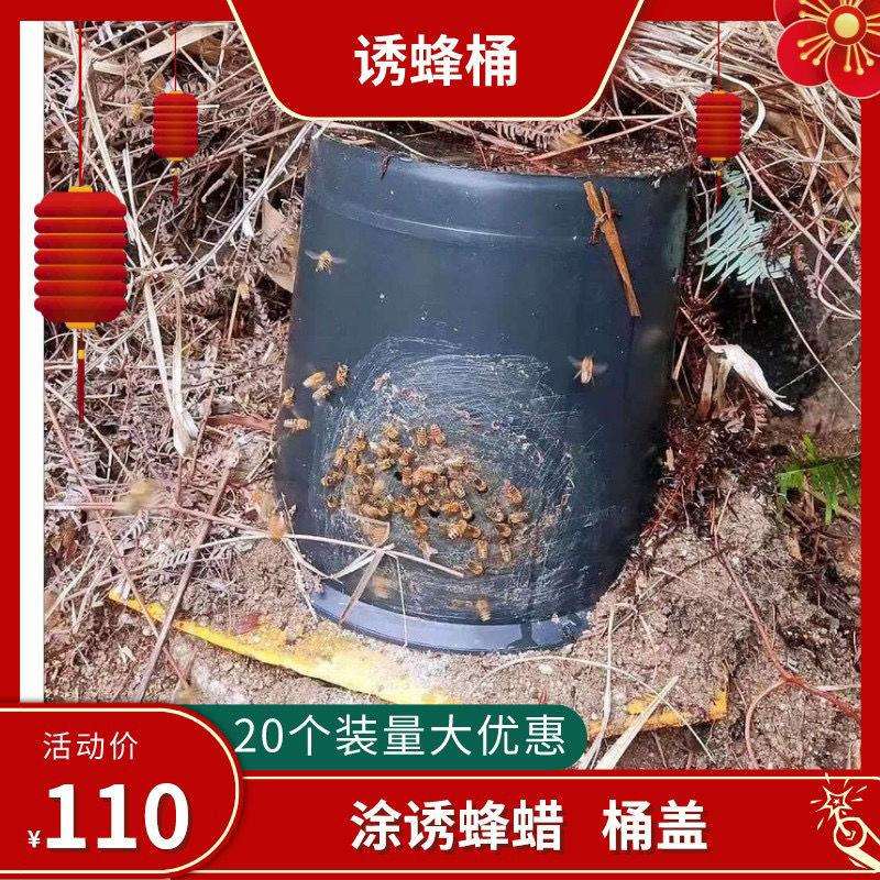 20个装诱土蜂中蜂诱蜂桶黑桶招蜂桶开巢门孔野外捕蜂蜜蜂引蜂桶