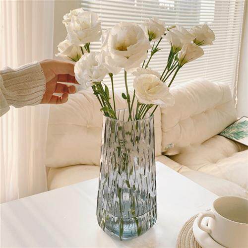 网红玻璃花瓶透明水养水培插花的玫瑰鲜花瓶百合花高级感桌面创意