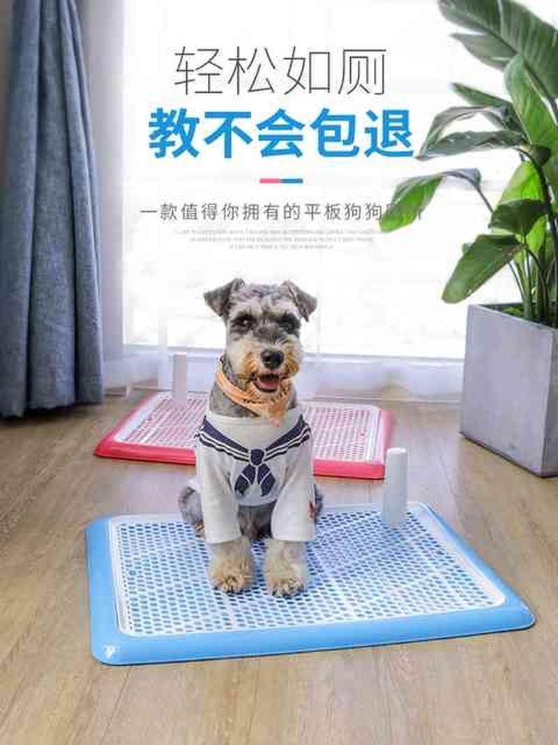 宠物狗上厕所大型犬屎盆狗狗用品自冲便盆冲水尿片卫生间自动清理