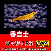 Двадцать, чтобы отправить 5 из Siangjis в общей сложности