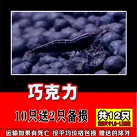 10 шоколад 10 дает 2 всего 12