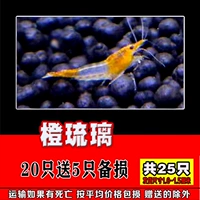 Всего в двух апельсиновом остеклении от 5 до 5, в общей сложности 25