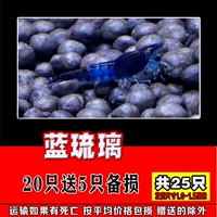 Blue Liuli 20 бесплатно 5 дайте 5 всего 25