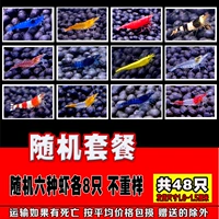 Случайный бутик шесть -коррог