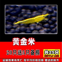 Золото Mi 20 дает 5 всего 25