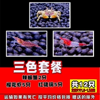 Sakura Crimp 5 красные остекления 5 Crab 2 в общей сложности 12