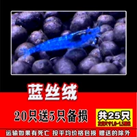 Дайте 5 свободного от синего бархата, 5, 25, 25