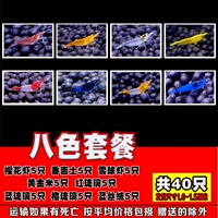 Сакура 5 Ладан 5 Снег 5 Желтый 5 красная лилия 5 Оранжевый 5 Шелк 5