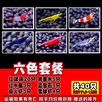 Hongliu 20 желтый рис 5 красная вода 3 драгоценный камень 5 полюс 3 снег 4