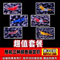 [Специальность стоимости -worth] Всего в общей сложности 30 случайных 3 -колорных креветков