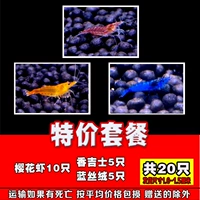 Специальный сакура 10 синий шелк 5 ароматный 5 всего 20