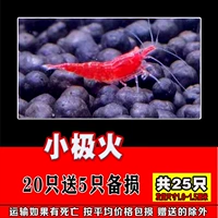 Маленький джиджи 20 бесплатно, чтобы получить 5 всего, 25