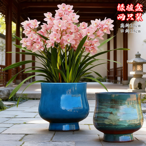 特大号绿植花盆两只装老桩粗陶盆