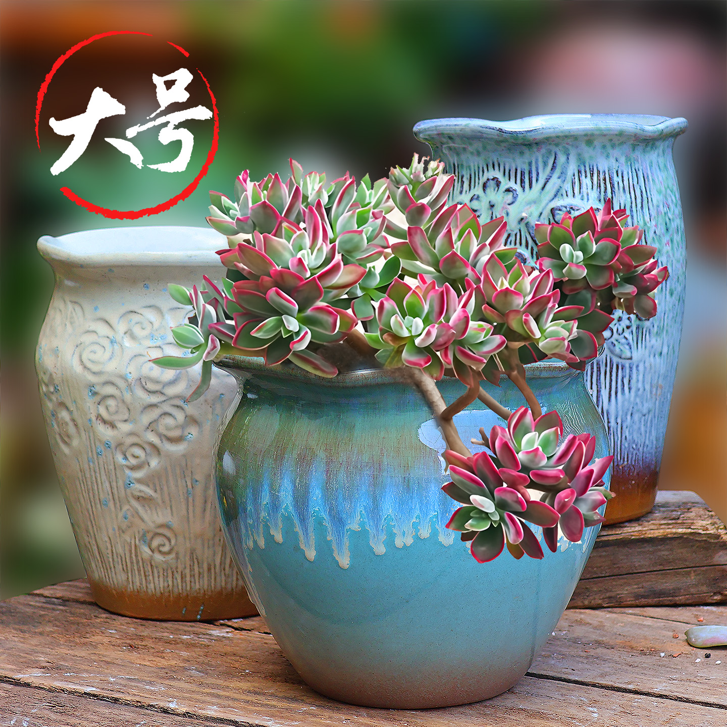 粗陶多肉花盆大口径绿植盆