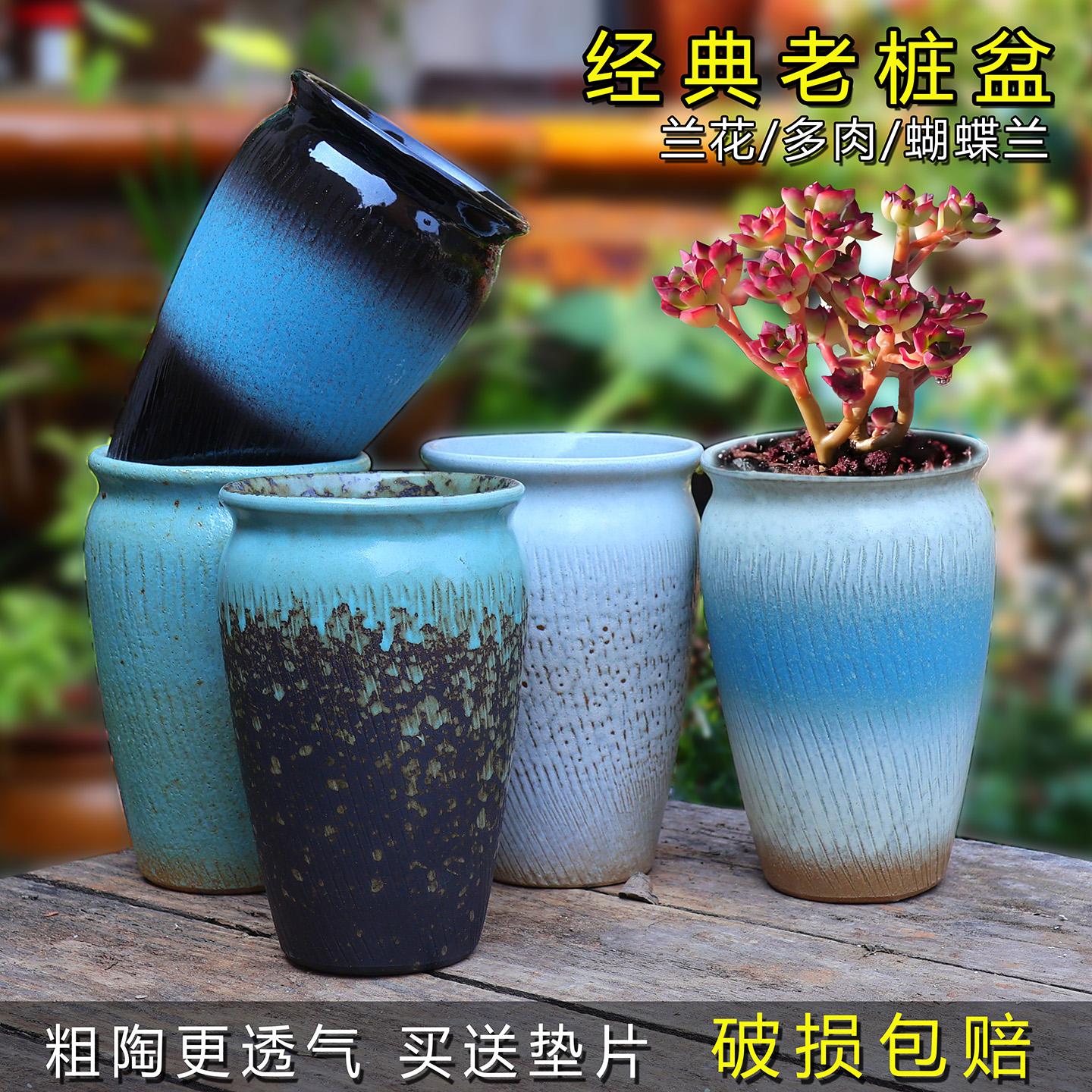 多肉花盆陶瓷家用阳台老桩法师