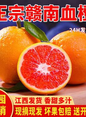 【赣州发货】江西赣南血橙20斤