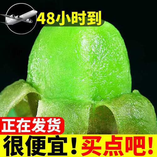 【现货】陕西绿心猕猴桃当季水果