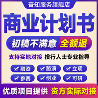 商业计划书撰写代做可行性研究报告项目立项创业融资方案策划PPT