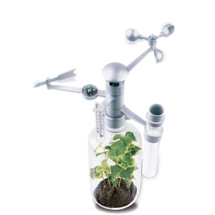 幼儿园科学区教具小小气象站小学生气象观测儿童科普实验风向标计