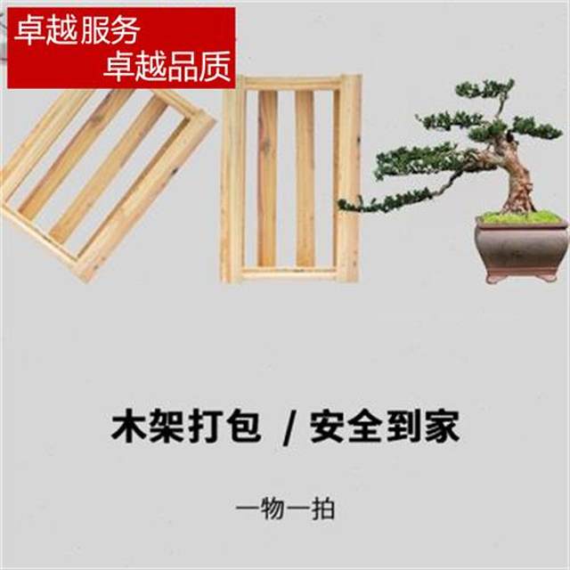 高端罗汉松盆景大树庭院造型树迎客松老桩真树别墅客厅一物奢华