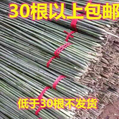 竹竿菜园搭架豆角黄瓜番茄爬藤架园艺篱笆围栏旗杆小竹子新品包邮
