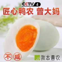 咸鸭蛋生新鲜腌制正宗流油湖北仙桃沙湖特产清淡不咸的红泥盐蛋