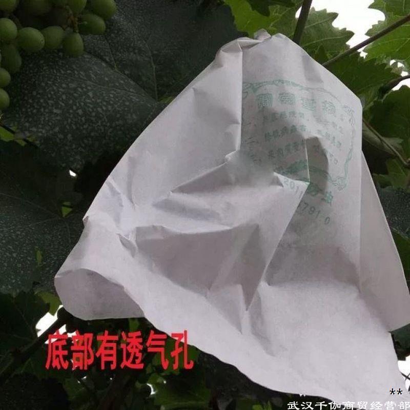 水果套袋的纸袋葡萄袋防虫防鸟防水防雨袋子套果袋果实直销代发