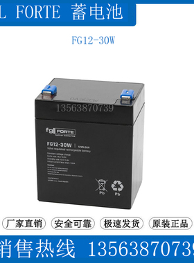 fgl FORTE护蓄电池FG12-30W 12V5.2AH 船舶//库卡机器人/医疗仪器