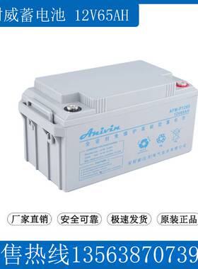 安耐威 AFM-C1265 UPS应急设备直流屏备用 Anivin蓄电池12V65AH