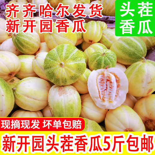 东北香瓜黑龙江香瓜新鲜现摘现发应季水果白糖罐甜脆京蜜小甜瓜