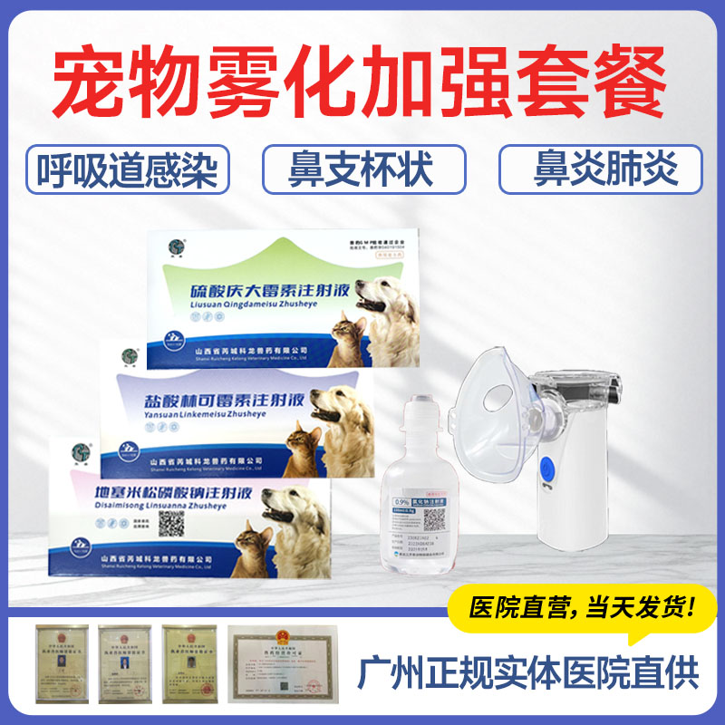 猫狗雾化呼吸道感冒肺炎咳嗽