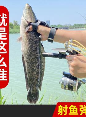 新款射鱼渔具打弹弓高精度