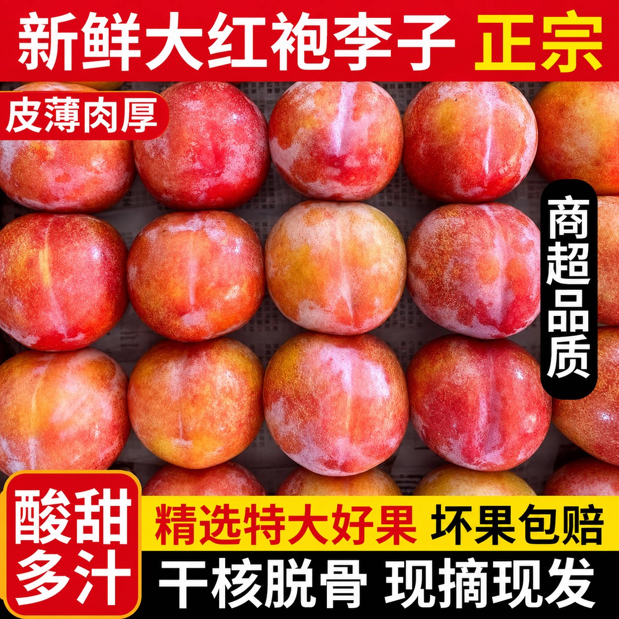 （顺丰包邮）大红袍李子脆甜黄心应季孕妇水果干碗脱核当季现摘发
