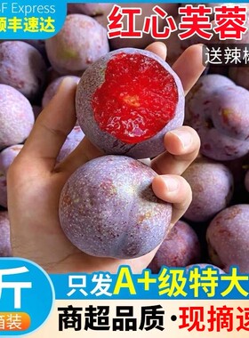 （顺丰包邮）福建芙蓉李礼盒装精选大果当季新鲜孕妇水果酸甜爽脆