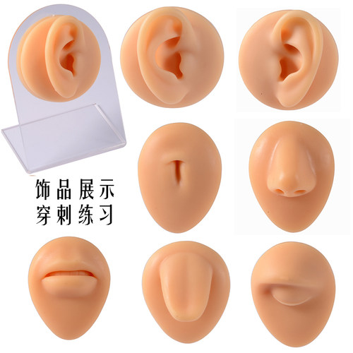 软硅胶立体仿真模型耳朵鼻子嘴巴肚脐穿孔道具眼睛舌头饰品展示 - 封面