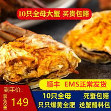海鲜满黄新鲜水产 洪泽湖大闸蟹鲜活螃蟹全母蟹现货大蟹10只装